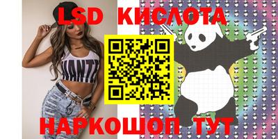 прущие грибы Моздок