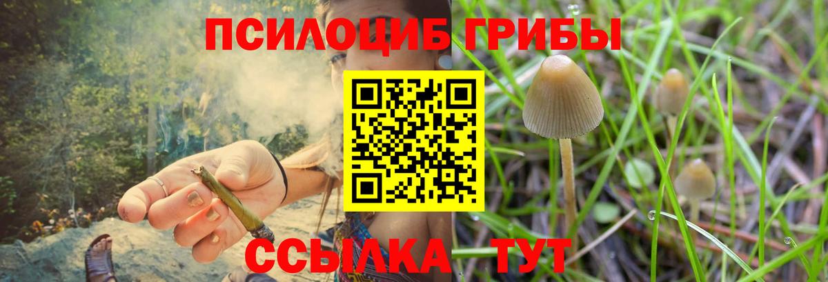 Псилоцибиновые грибы ЛСД Фрязино